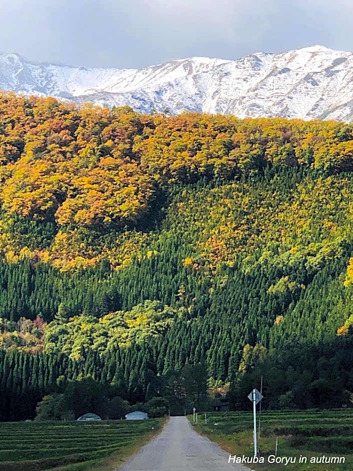 The Guest House Japan Hakuba