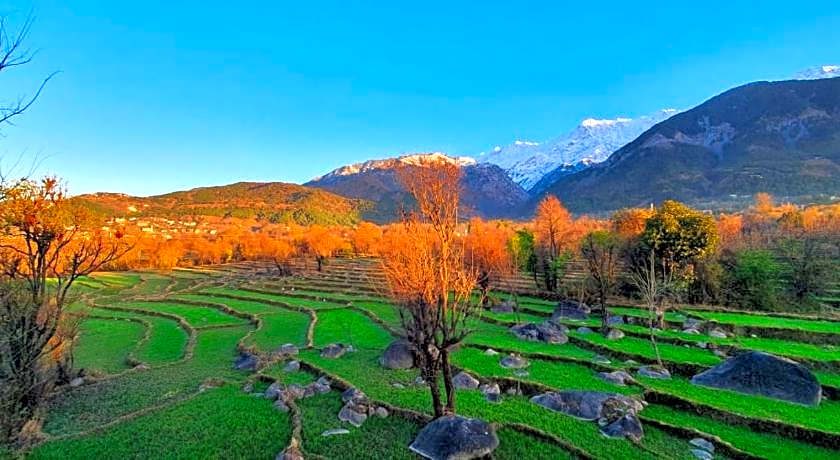 Quartz Himalayan Brothers