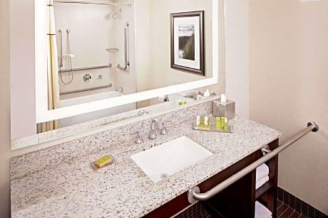 Premium One King Mobility Accessible Tub