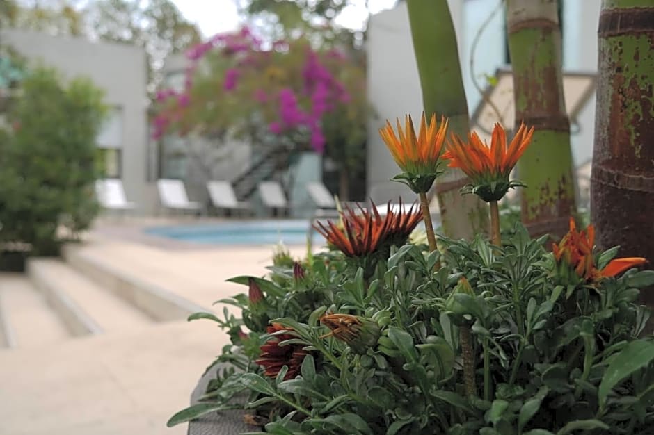 Casa Tepoztlán