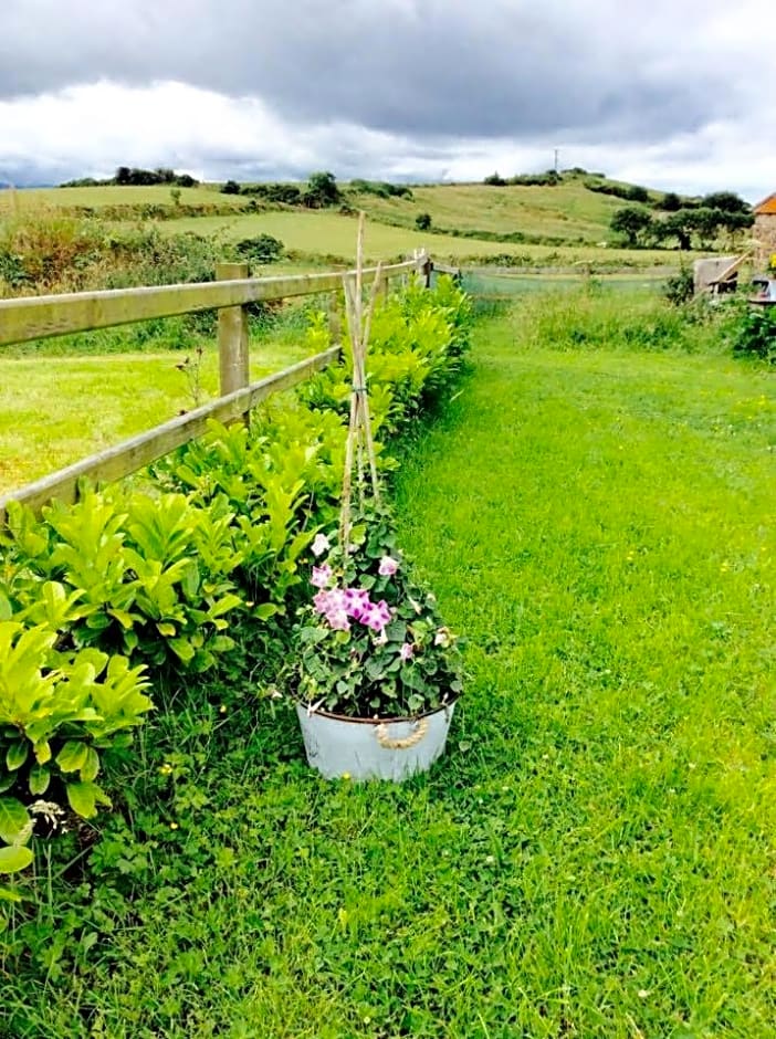 Holland House F94DP26