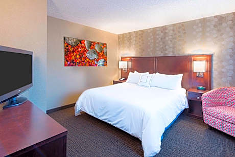 Suite, 1 King, Sofa bed