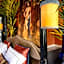 Guesthouse Nights by Morpheus