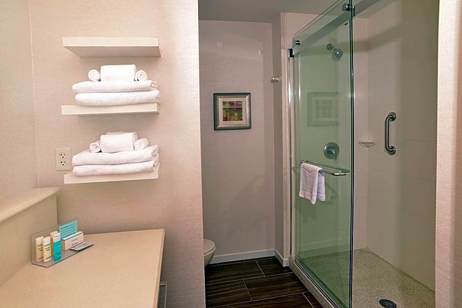 Hampton Inn By Hilton Springfield-Southeast