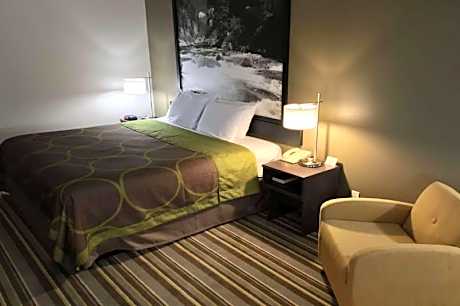 1 Queen Bed Accessible Room Non-Smoking