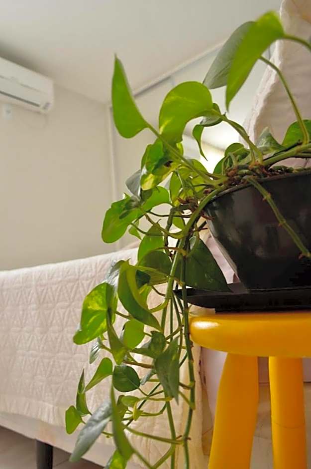 Edificio Casablanca, near T-63 Avenue, Shopping, Drugstore, Hospitals