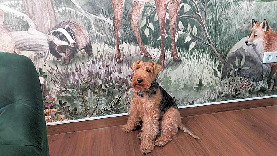 Hotel & Café KleinerGrünauer