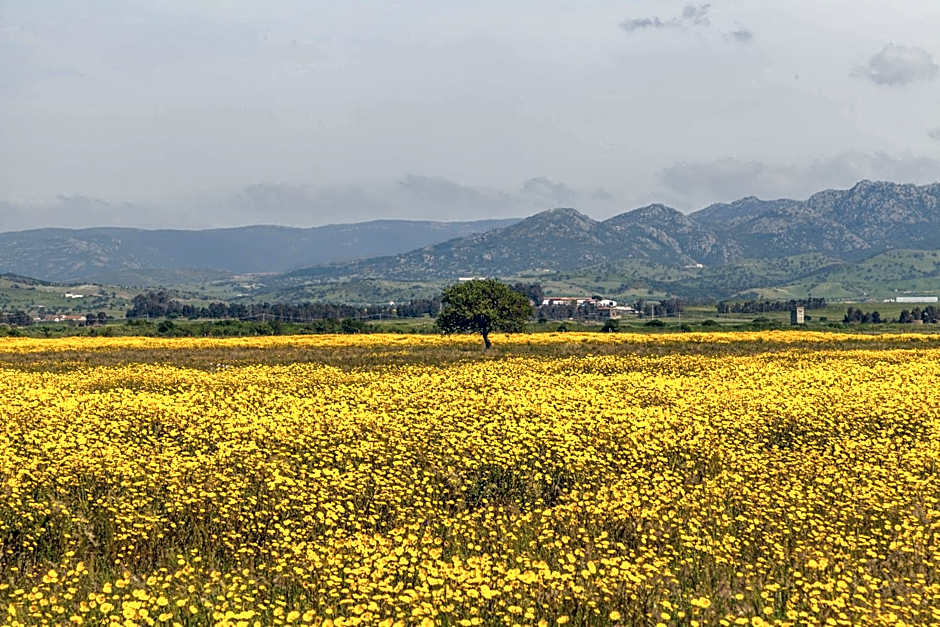 The Old Farm Asfodeli - Adults Only