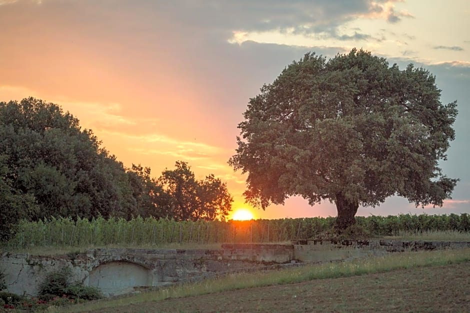 Le Relais de Franc Mayne Saint Emilion