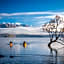 Tasman Holiday Parks - Wanaka