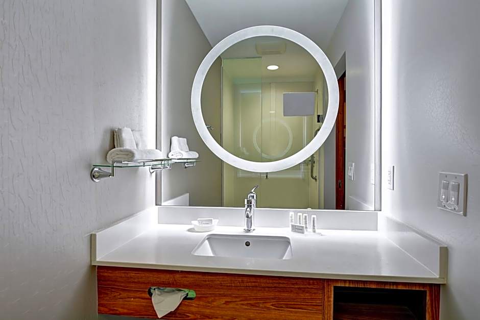 SpringHill Suites by Marriott Cincinnati Airport South