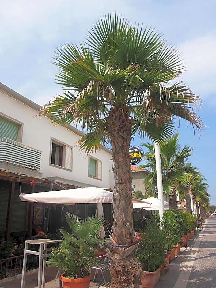 Hotel Aurora