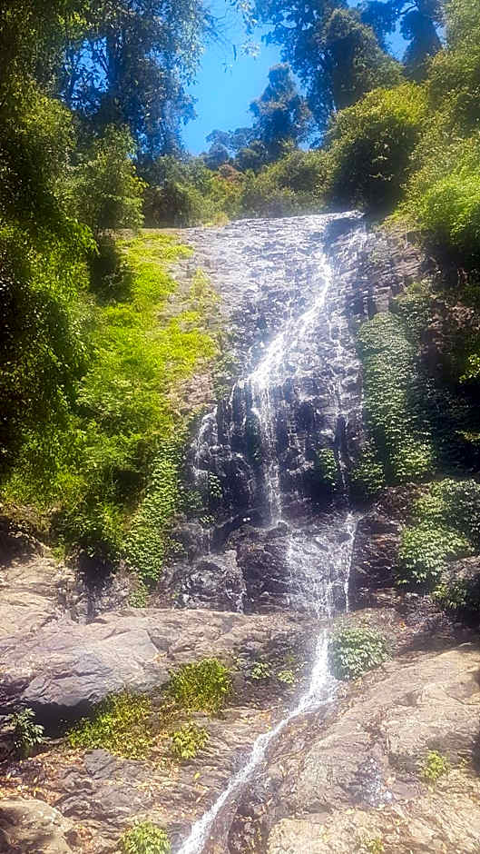 Dorrigo Bush Pepper Retreat