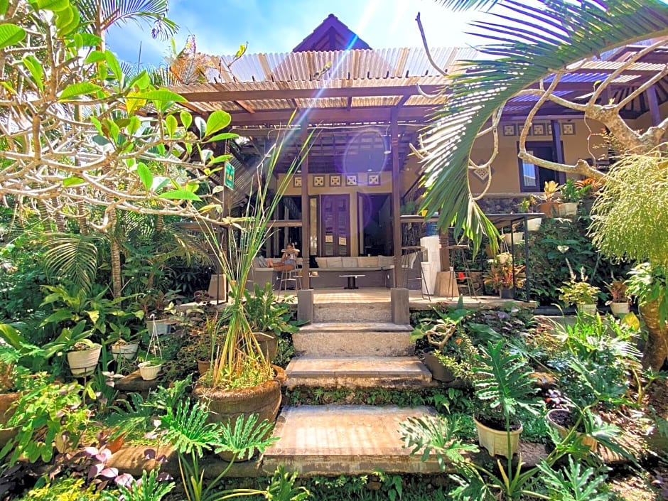 Home-Bience Hostel