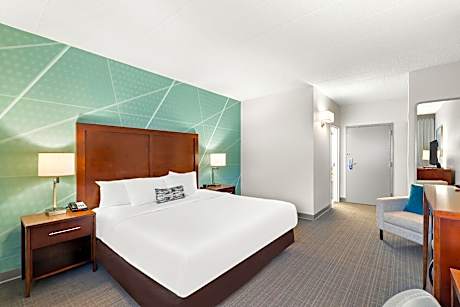1 King Bed, accessible, non-smoking