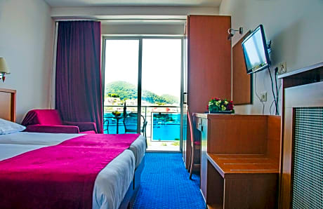 Double Room with  Balcony and Sea View