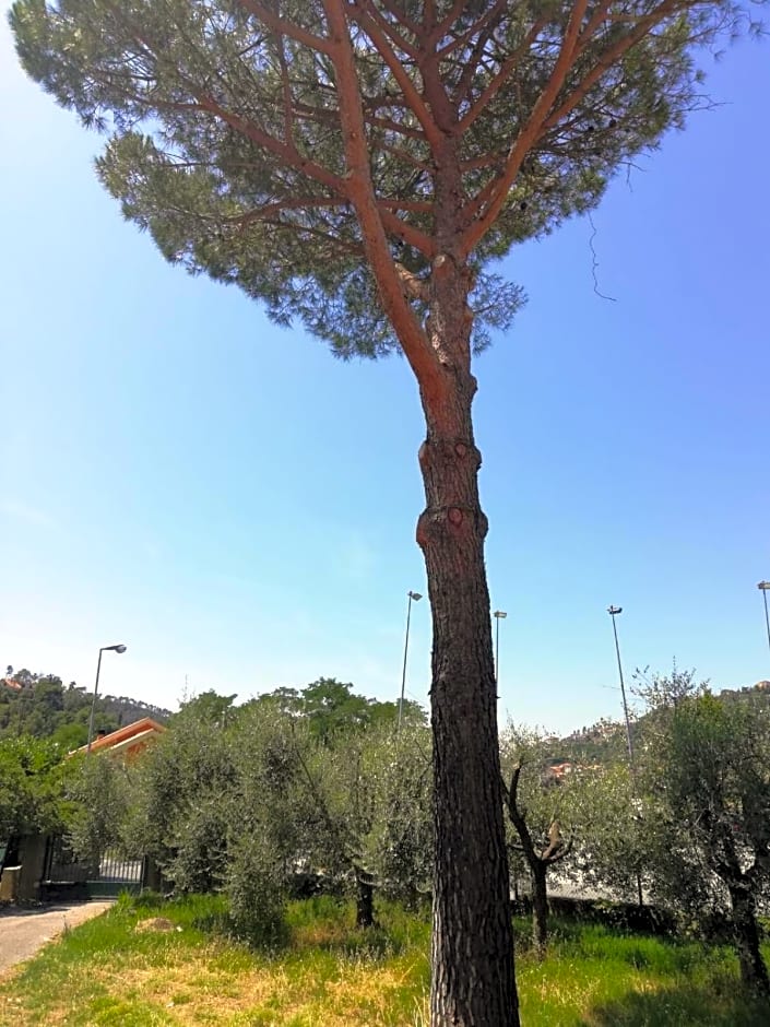 Ca du Angiulin
