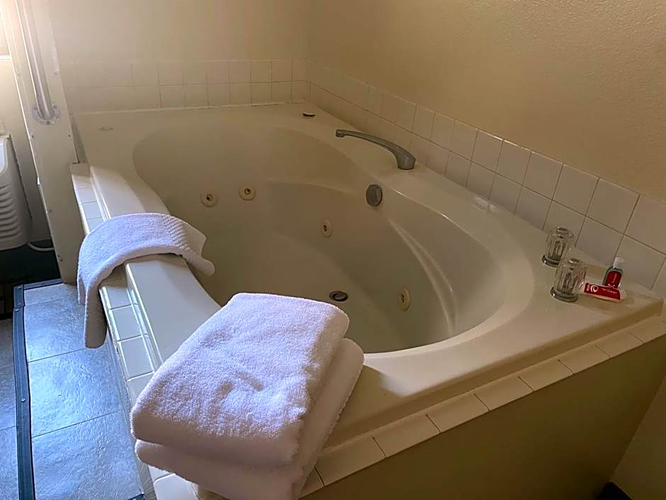 Econo Lodge Kalamazoo near Wings Stadium