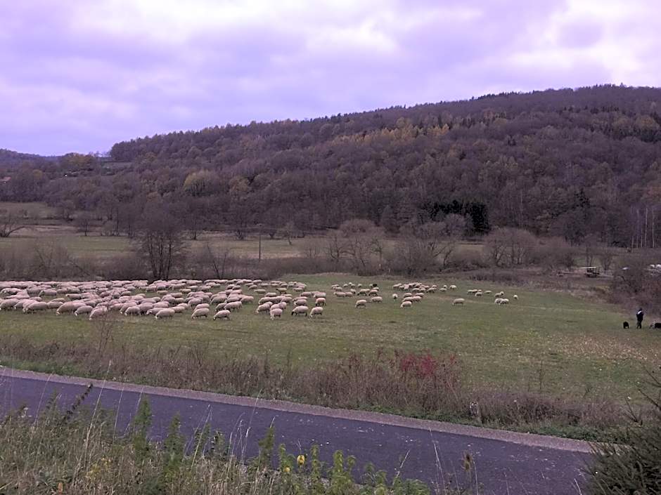 Landhotel Weisses Ross garni
