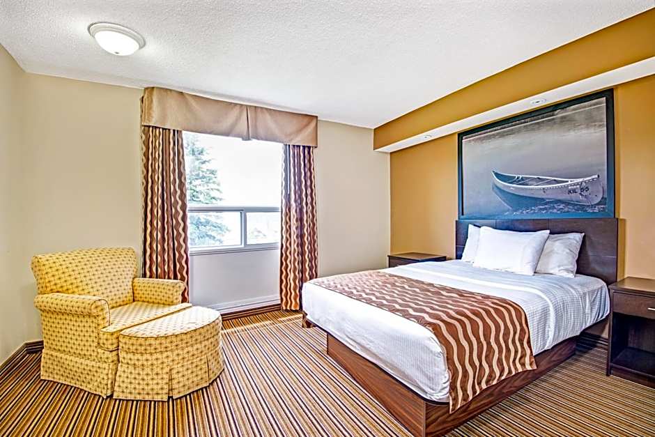 red maple inn and suites