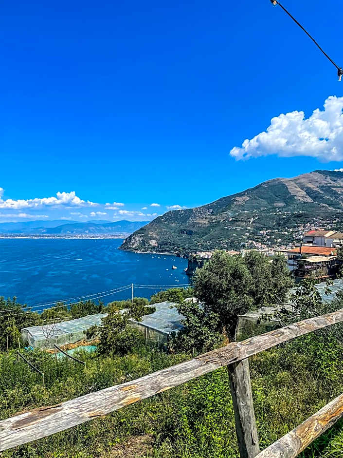 ANTICA TENUTA CELOTTO