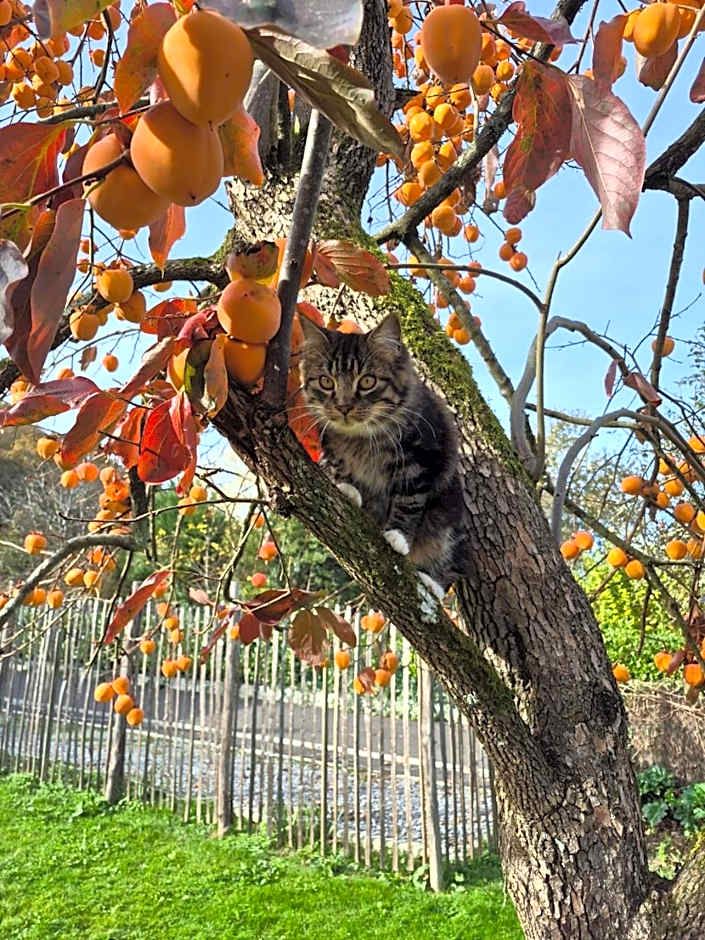Gîte "Au Gré de l'Adour"