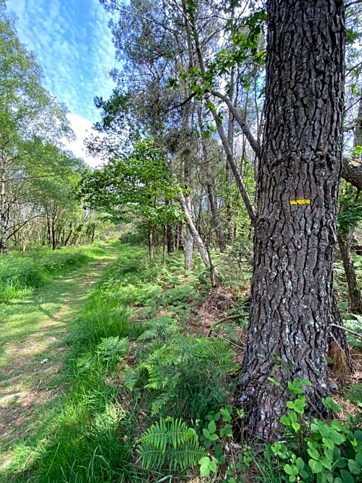 L'Hôtié de Brocéliande à Paimpont, au coeur des sites naturels et légendaires