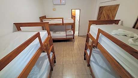 Bed in 8-Bed Dormitory Room