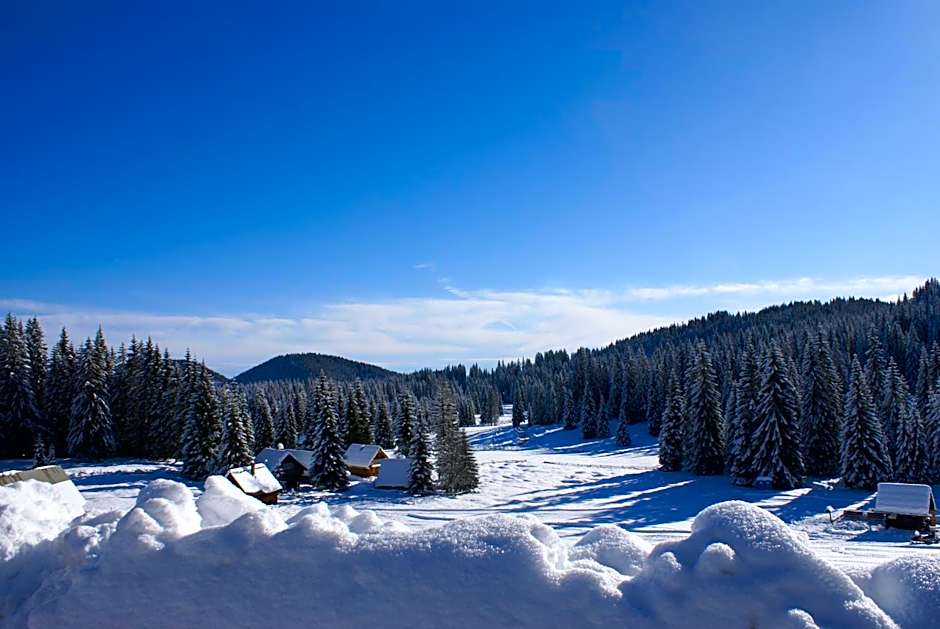 Hotel Jelka Pokljuka