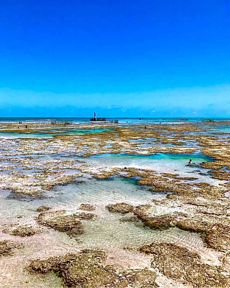 AMETISTA 2 - 101 · A-01: Apê equipado e estiloso na praia de Jatiúca