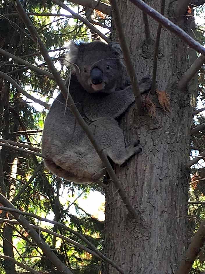 Sherwood Park bed and breakfast