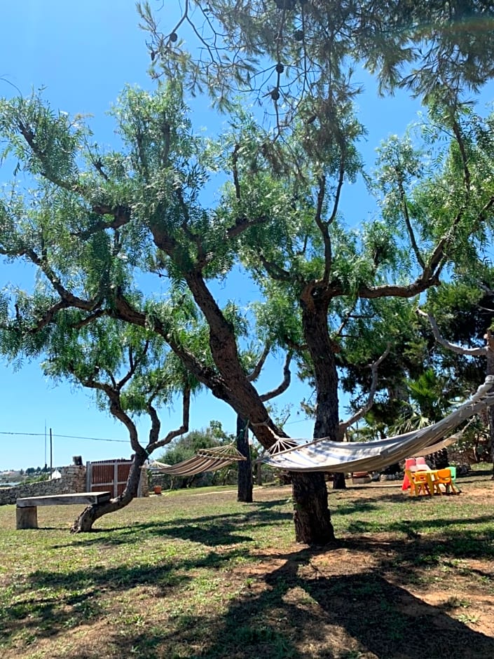 Tenuta Nonno Carmine