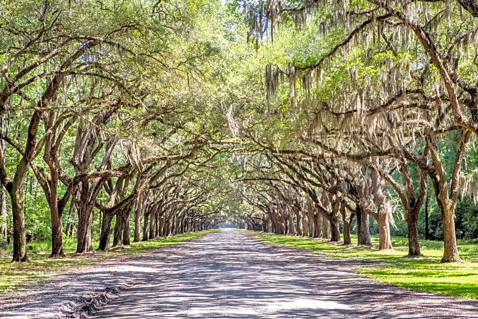 Holiday Inn Savannah Historic District by IHG