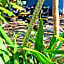 CampSarap Hostel & Resort