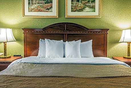 1 King Bed, Nonsmoking