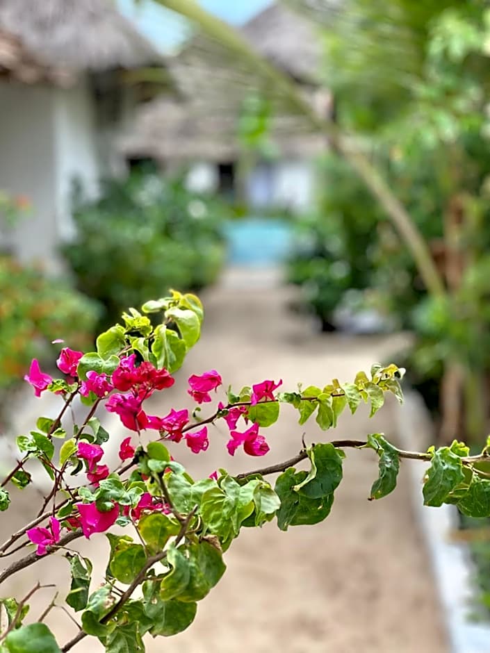 Jambiani White Sands Bungalows