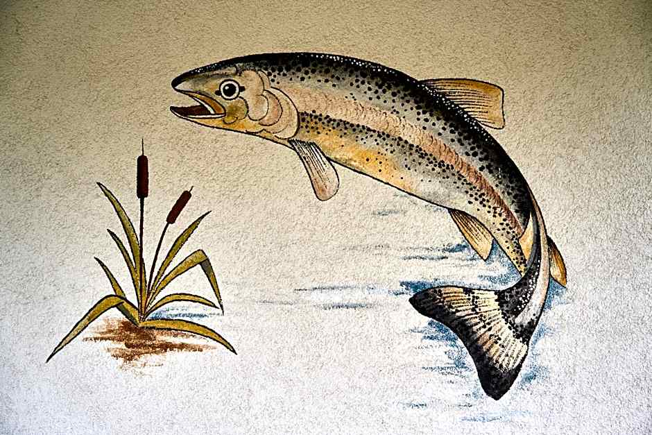 Gästehaus Forellenhof