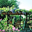 B&B Wisteria