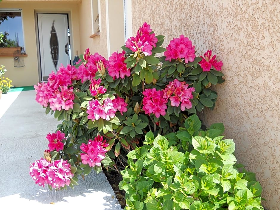 Le Clos des Malézolles