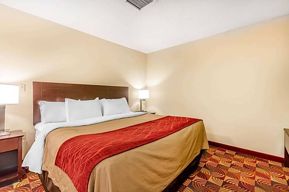 Comfort Inn & Suites Jasper Hwy 78 West
