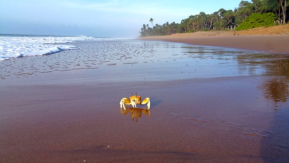 Lankavatara Ocean Retreat & Spa