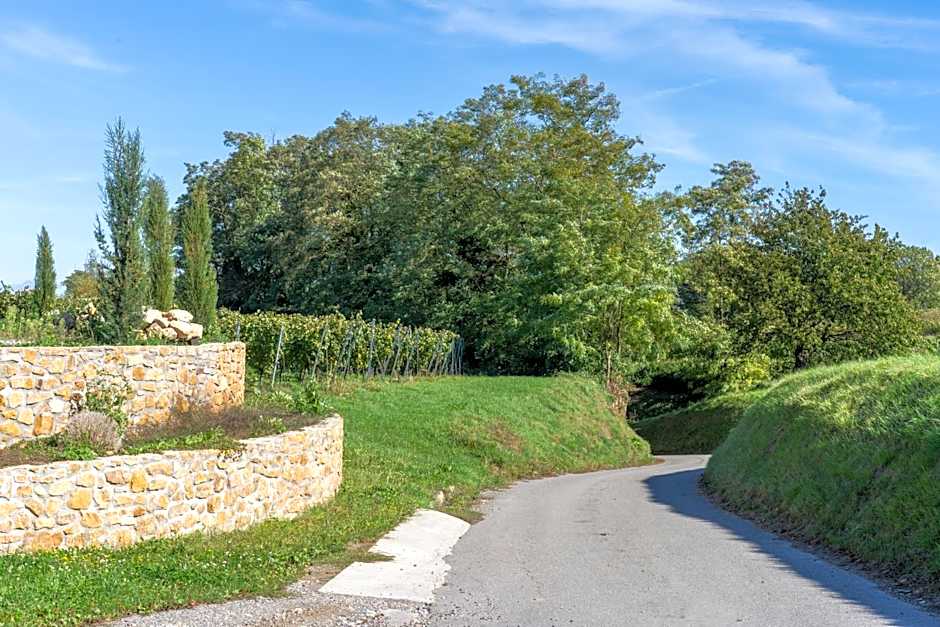 Ferienwohnung Castellberg