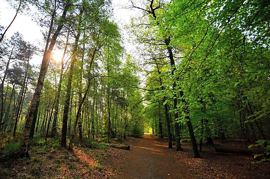 Parkhotel Mastbosch Breda