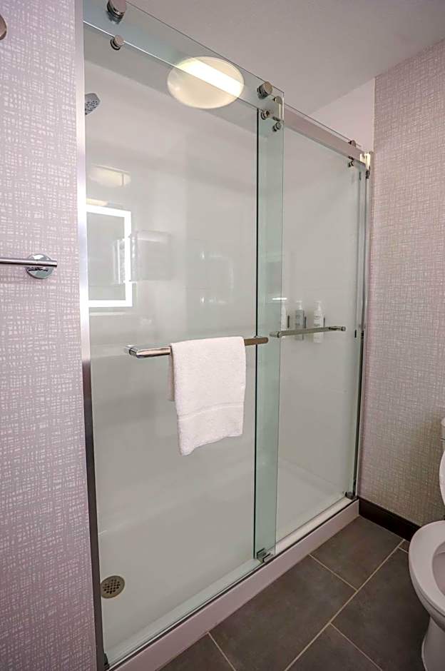 Hampton Inn By Hilton Suites Bay City