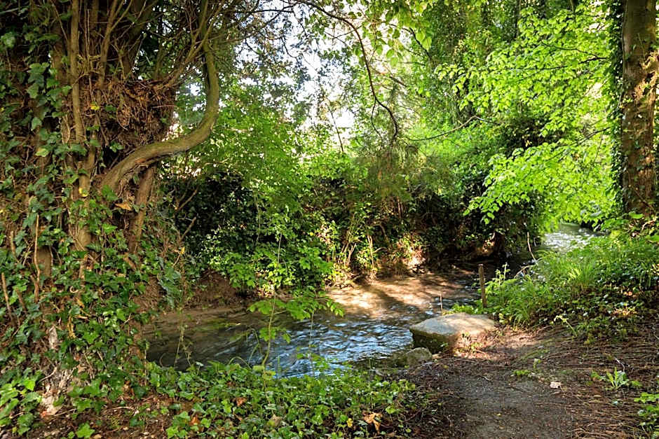 La Pomme Pétillante
