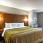 Quality Inn and Suites Ashland near Kings Dominion