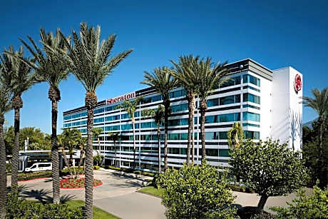 Club Room, 1 King Bed