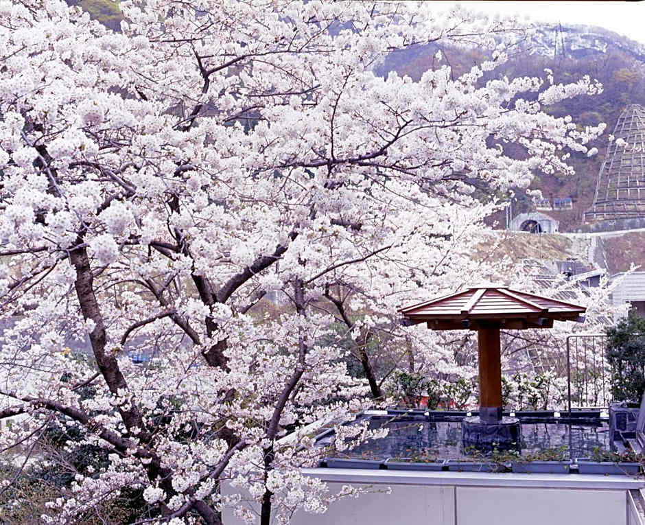 Hotel Kurobe