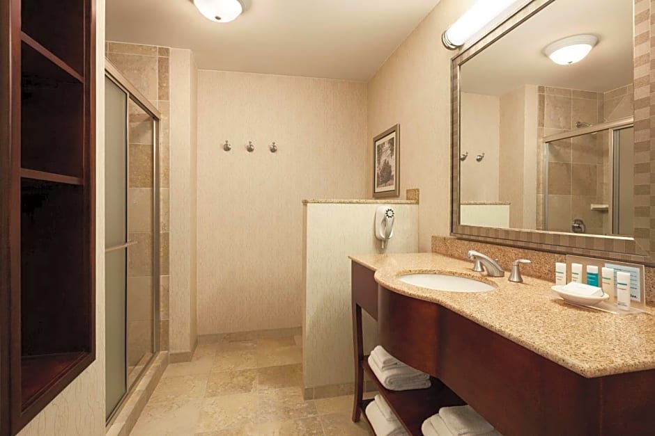 Hampton Inn By Hilton And Suites Washington-Dulles Intl Airport