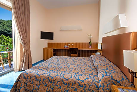 Double Room (1 Double Bed)